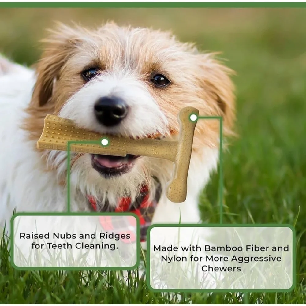 SPOT Bam-Bones PLUS Dog Chew Toy - Bamboo & Nylon, 4”, Peanut Butter Flavor- NWT